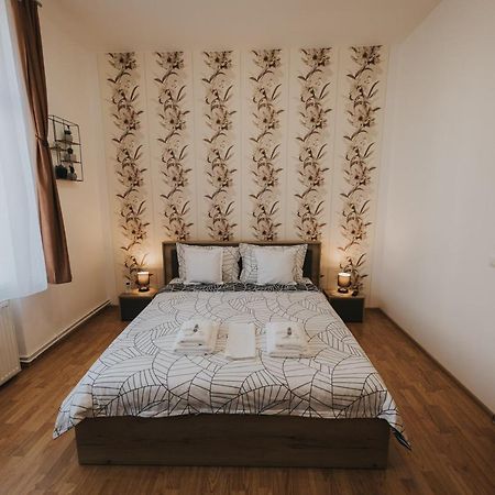 Gavri's Classic Apartment Sibiu Extérieur photo